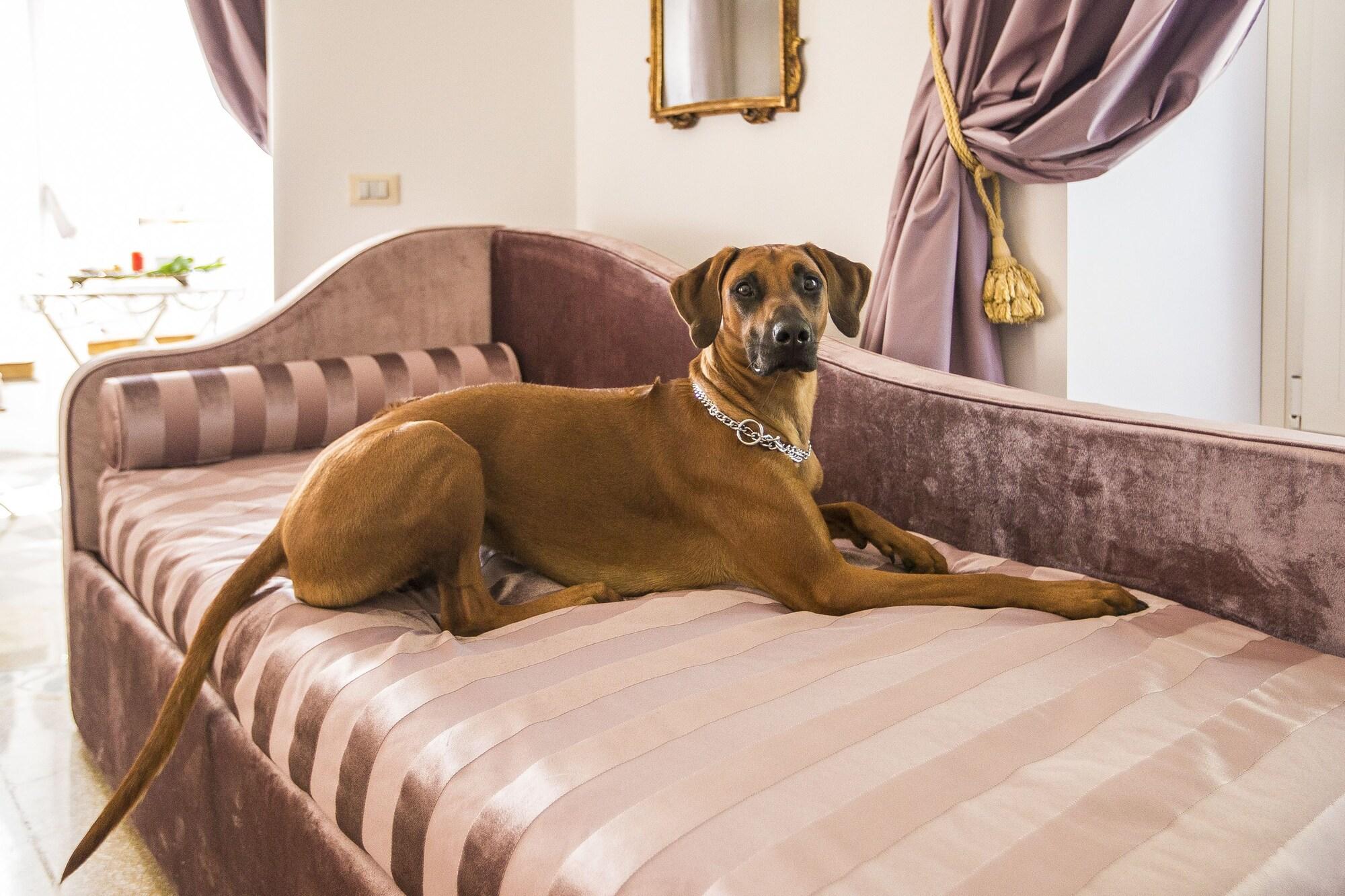 Trastevere Royal Suite Roma Dış mekan fotoğraf